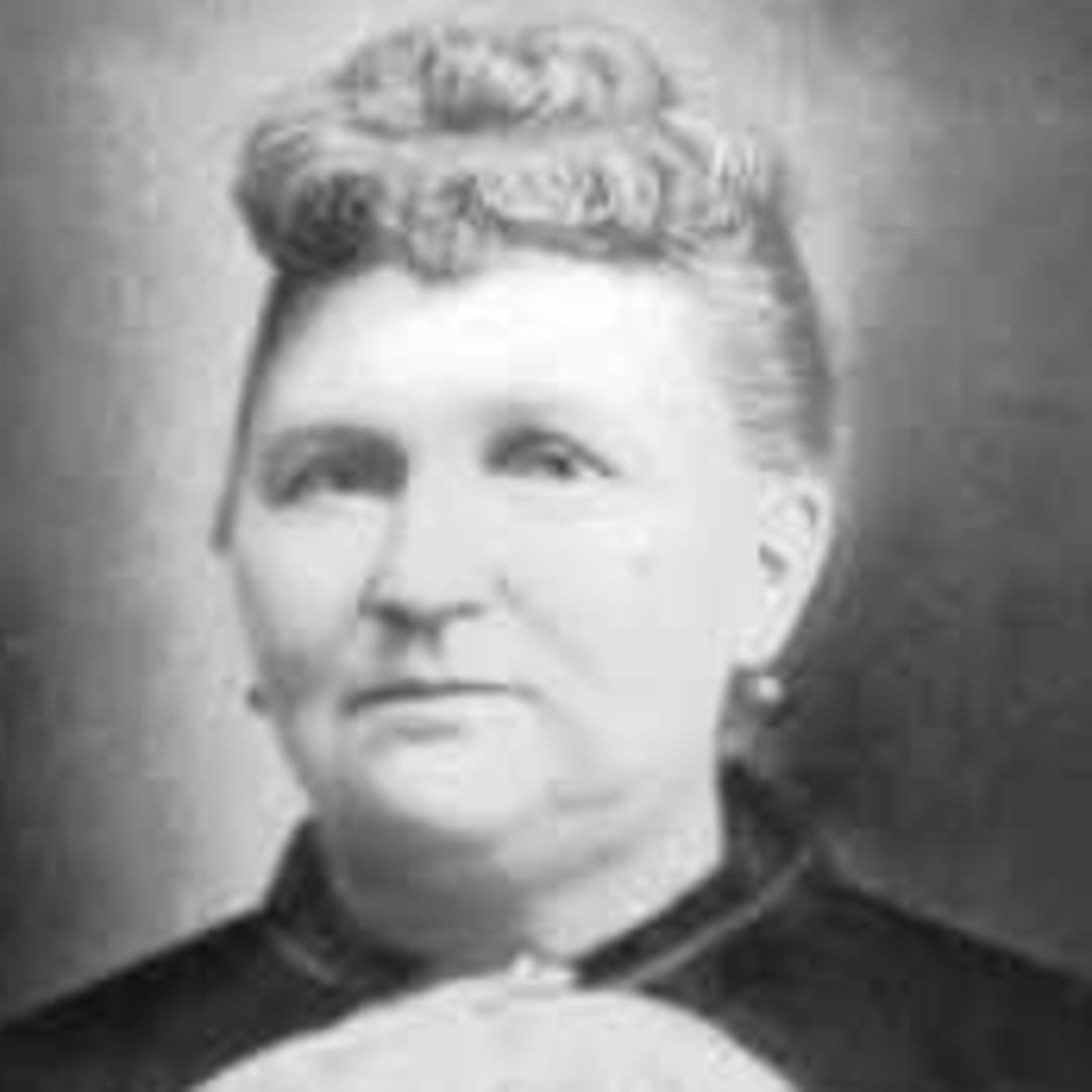 Hannah Baugh (1837 - 1916) Profile